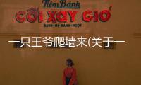 一只王爺爬墻來(關于一只王爺爬墻來簡述)