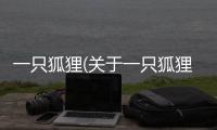 一只狐貍(關于一只狐貍簡述)
