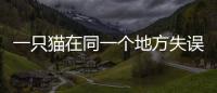 一只貓在同一個地方失誤了兩次 全網嘲笑：沒臉在喵界混了