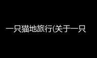 一只貓地旅行(關(guān)于一只貓地旅行簡(jiǎn)述)
