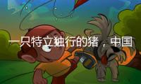 一只特立獨行的豬，中國作家王小波所著雜文