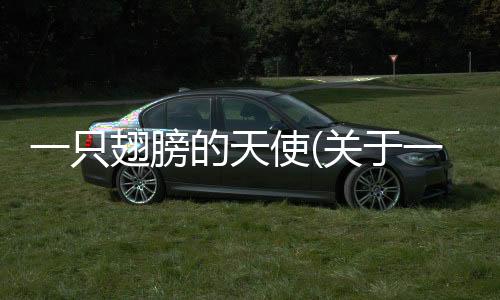 一只翅膀的天使(關于一只翅膀的天使簡述)