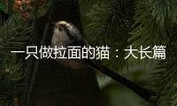 一只做拉面的貓：大長篇(關于一只做拉面的貓：大長篇簡述)