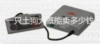 一只土狗大概能賣多少錢？ 小土狗多少錢一只?