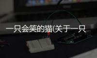 一只會笑的貓(關于一只會笑的貓簡述)