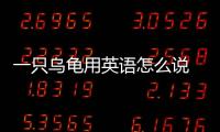 一只烏龜用英語怎么說 烏龜用英語怎么說