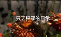 一只天秤座的日常