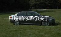 一只螳螂的旅行(關于一只螳螂的旅行簡述)