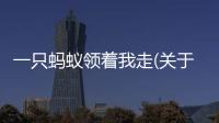 一只螞蟻領(lǐng)著我走(關(guān)于一只螞蟻領(lǐng)著我走簡(jiǎn)述)