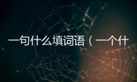 一句什么填詞語（一個什么填詞語）