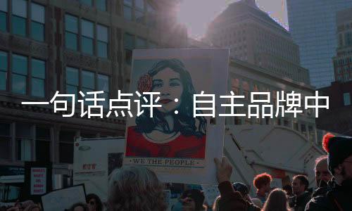 一句話點(diǎn)評(píng)：自主品牌中級(jí)車11月份銷量