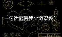 一句話惱得我火燃雙鬢(關(guān)于一句話惱得我火燃雙鬢簡(jiǎn)述)