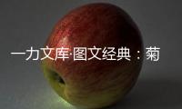 一力文庫·圖文經典：菊與刀(關于一力文庫·圖文經典：菊與刀簡述)