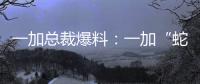 一加總裁爆料：一加“蛇年新春水印”正在測試中，很快就能推送！