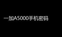一加A5000手機(jī)密碼忘了怎么解鎖？