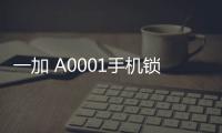 一加 A0001手機鎖屏密碼忘了怎么辦？忘了手機密碼怎么辦？