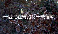 一匹馬在奔跑打一成語(yǔ)瘋狂看圖猜成語(yǔ)（瘋狂猜成語(yǔ)一匹馬在跑）