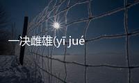 一決雌雄(yī jué cí xióng)網友怎么看?