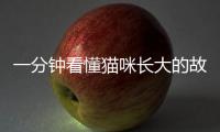 一分鐘看懂貓咪長大的故事(貓長大是怎么回事)