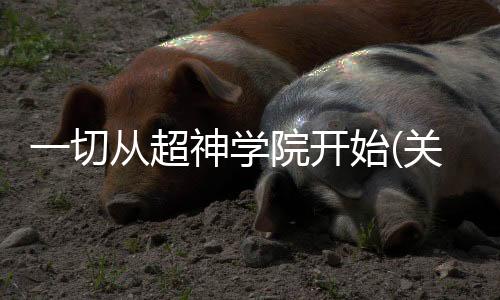 一切從超神學(xué)院開始(關(guān)于一切從超神學(xué)院開始簡(jiǎn)述)