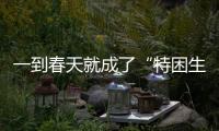一到春天就成了“特困生”？要想緩解春困，生活不妨做好哪些事？