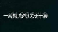 一剪梅·瓶梅(關于一剪梅·瓶梅簡述)