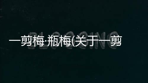 一剪梅·瓶梅(關(guān)于一剪梅·瓶梅簡述)
