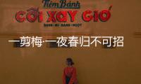 一剪梅·一夜春歸不可招(關于一剪梅·一夜春歸不可招簡述)