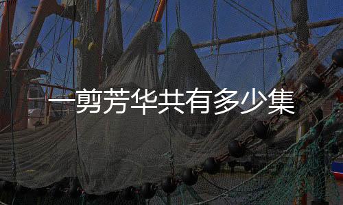 一剪芳華共有多少集