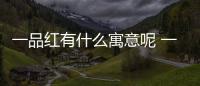 一品紅有什么寓意呢 一品紅是幾月份開花呢