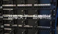 一品梅(關于一品梅簡述)