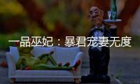 一品巫妃：暴君寵妻無度(關于一品巫妃：暴君寵妻無度簡述)