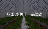 一品閨謀(關于一品閨謀簡述)