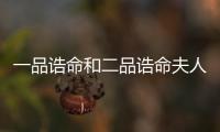 一品誥命和二品誥命夫人（一品誥命夫人什么意思）