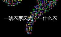 一啥農家風光（一什么農家風光）