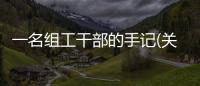 一名組工干部的手記(關于一名組工干部的手記簡述)