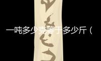 一噸多少克等于多少斤（一噸多少克）