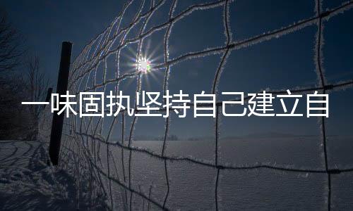 一味固執(zhí)堅持自己建立自主研發(fā)的計算機(jī)工業(yè)制造體系