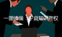 一圖讀懂：寧夏知識產權保護和運用“十四五”規劃