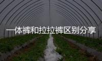 一體褲和拉拉褲區別分享，哪個好用、防漏尿又舒服一看便知