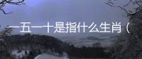 一五一十是指什么生肖（一五一十代表什么生肖）