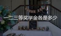 一二三等獎學金各是多少錢，一二三等獎學金分別是多少錢