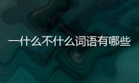 一什么不什么詞語有哪些詞語（一什么不什么的詞語）