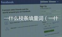 一什么枝條填量詞（一什么枝條）