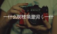 一什么樹枝填量詞（一什么枝條填量詞）
