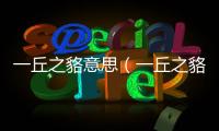 一丘之貉意思（一丘之貉的含義）
