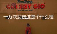 一萬次悲傷這是個什么梗?