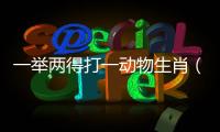 一舉兩得打一動物生肖（一舉兩得打一生肖）