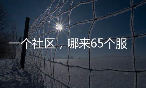 一個社區(qū)，哪來65個服務項目？