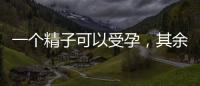 一個精子可以受孕，其余“兄弟”最終又去哪兒？